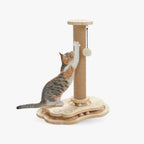 Arbre à chat - Intéractif