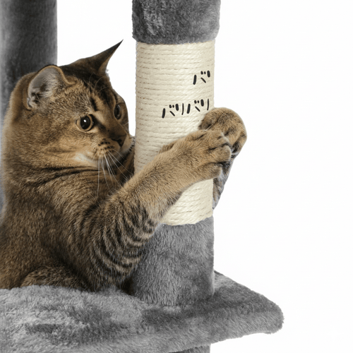 Arbre à chat - 150 cm