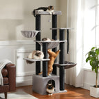 Arbre à chat - 170 cm