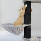 Arbre à chat - 170 cm