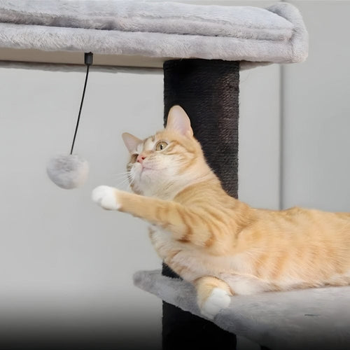 Arbre à chat - 170 cm