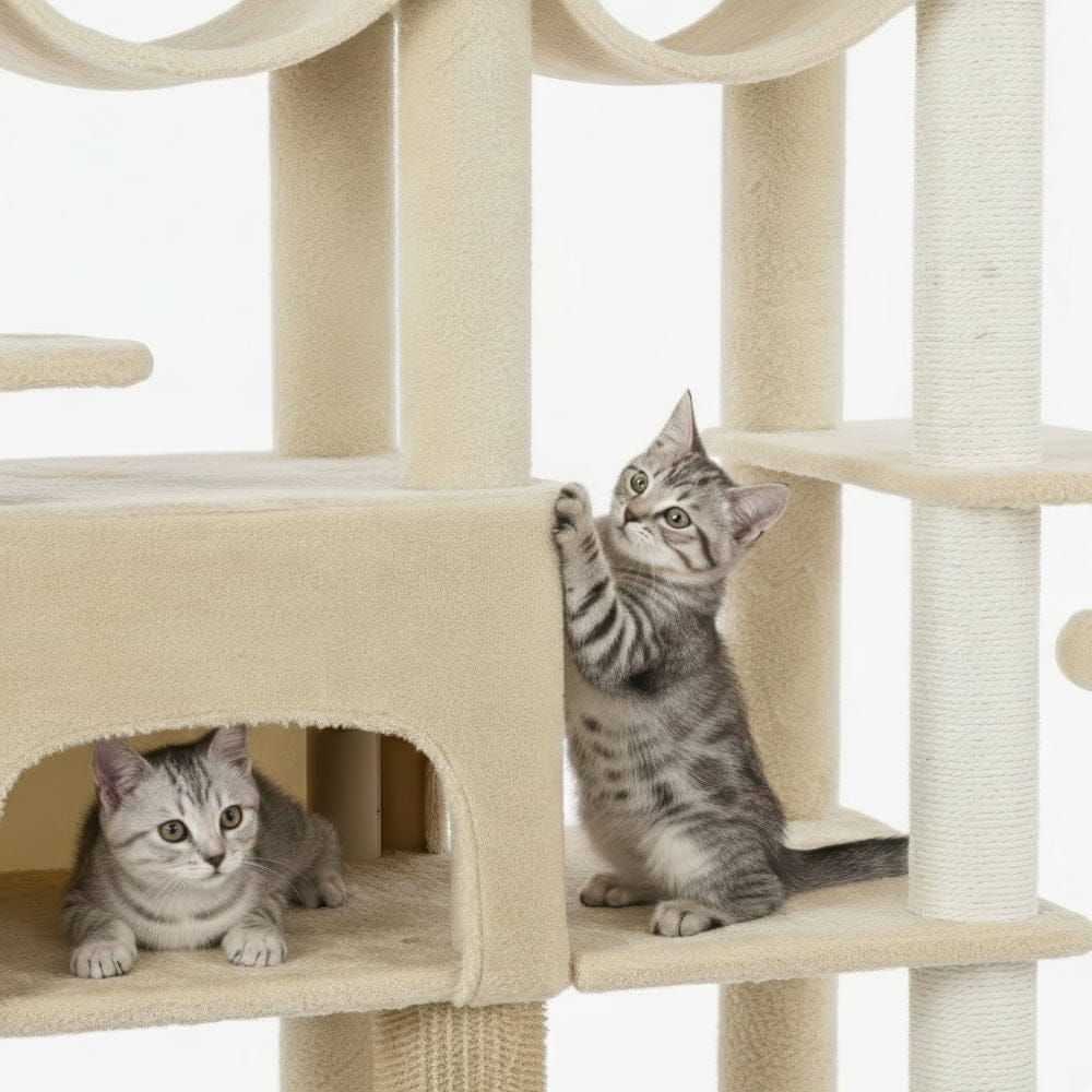 Arbre à chat - 2 mètres