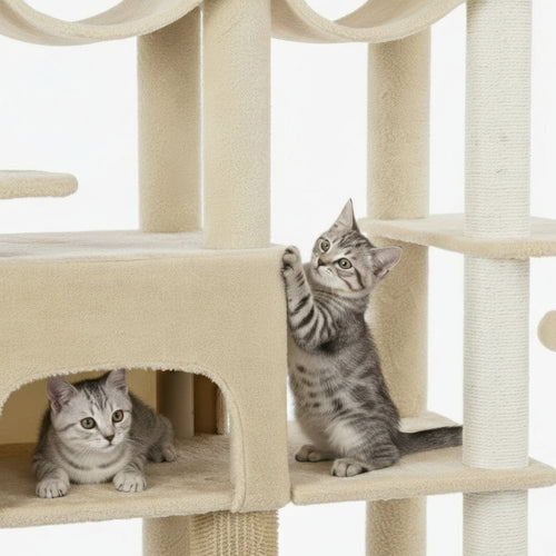 Arbre à chat - 2 mètres