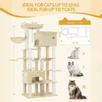 Arbre à chat - 2 mètres