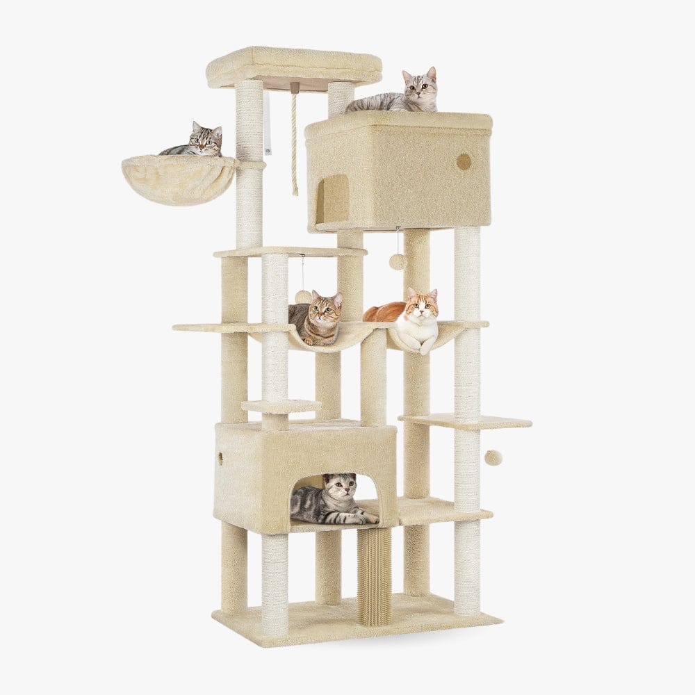 Arbre à chat - 2 mètres