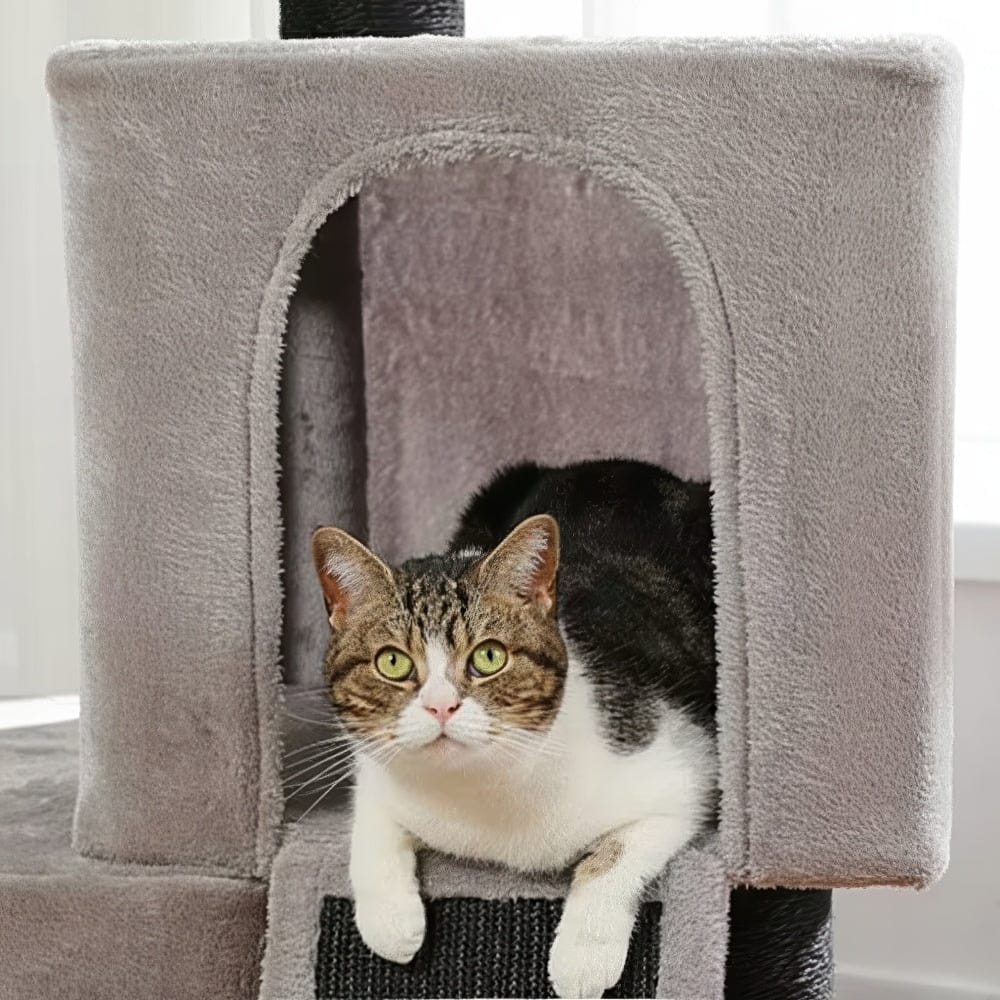 Arbre à chat - 2 niches