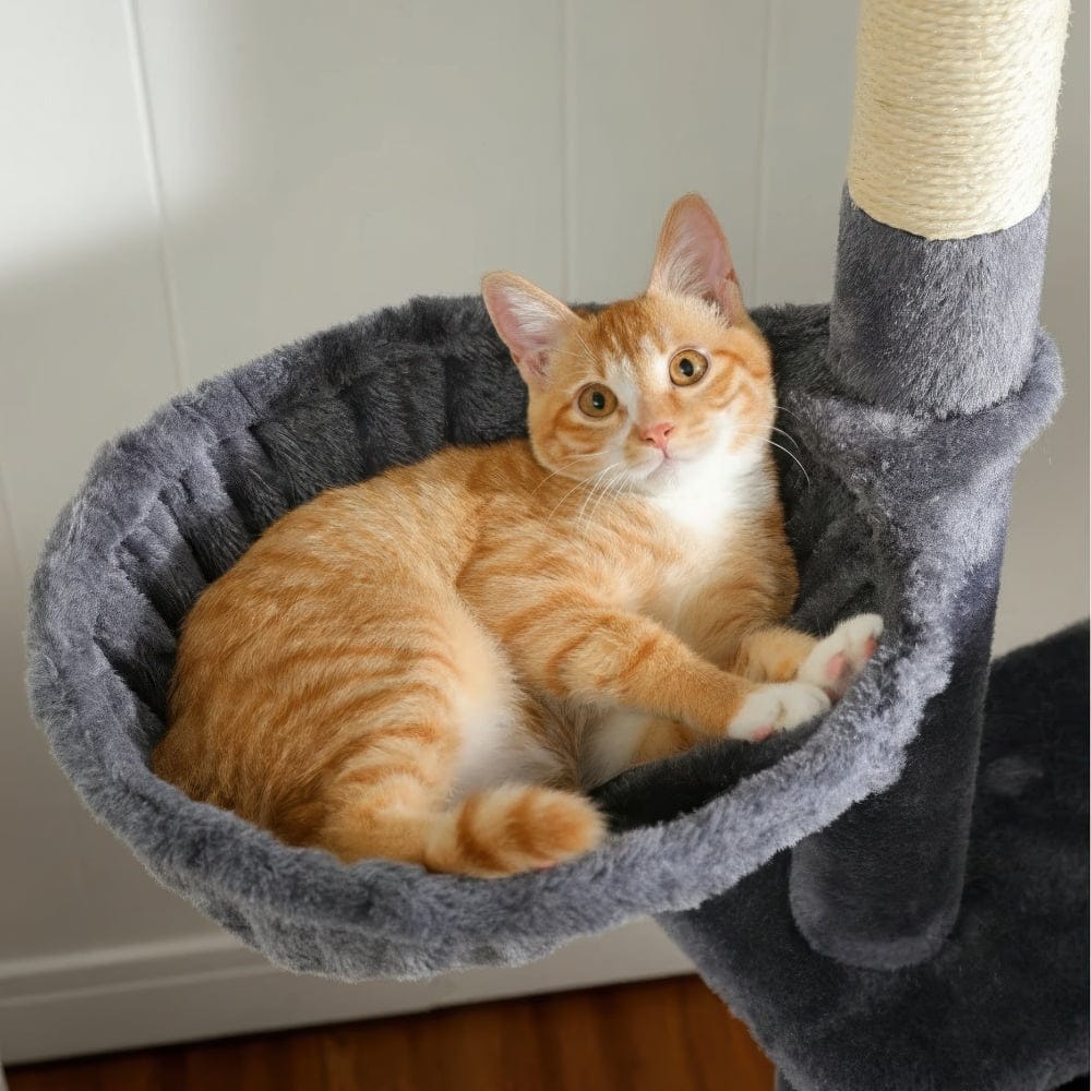 Arbre à chat - 3 étages