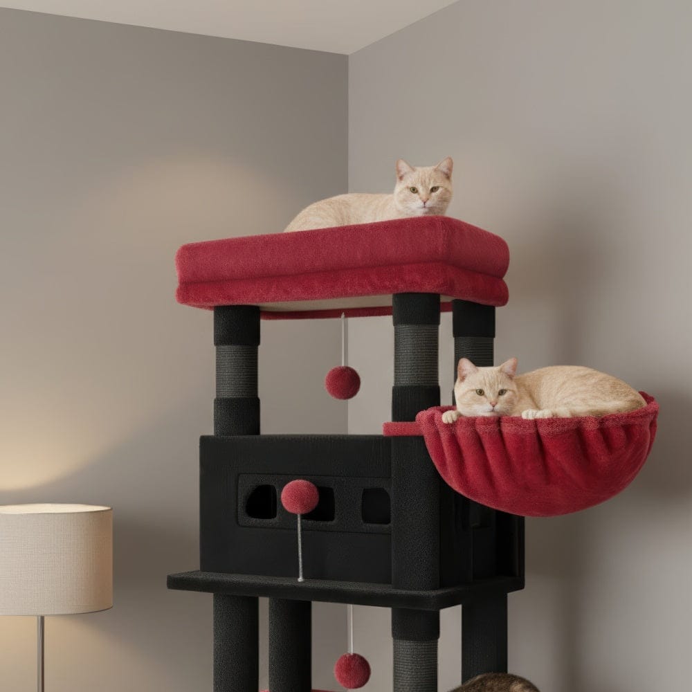 Arbre à chat adulte