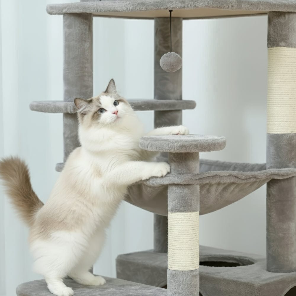 Arbre à chat - Anthracite