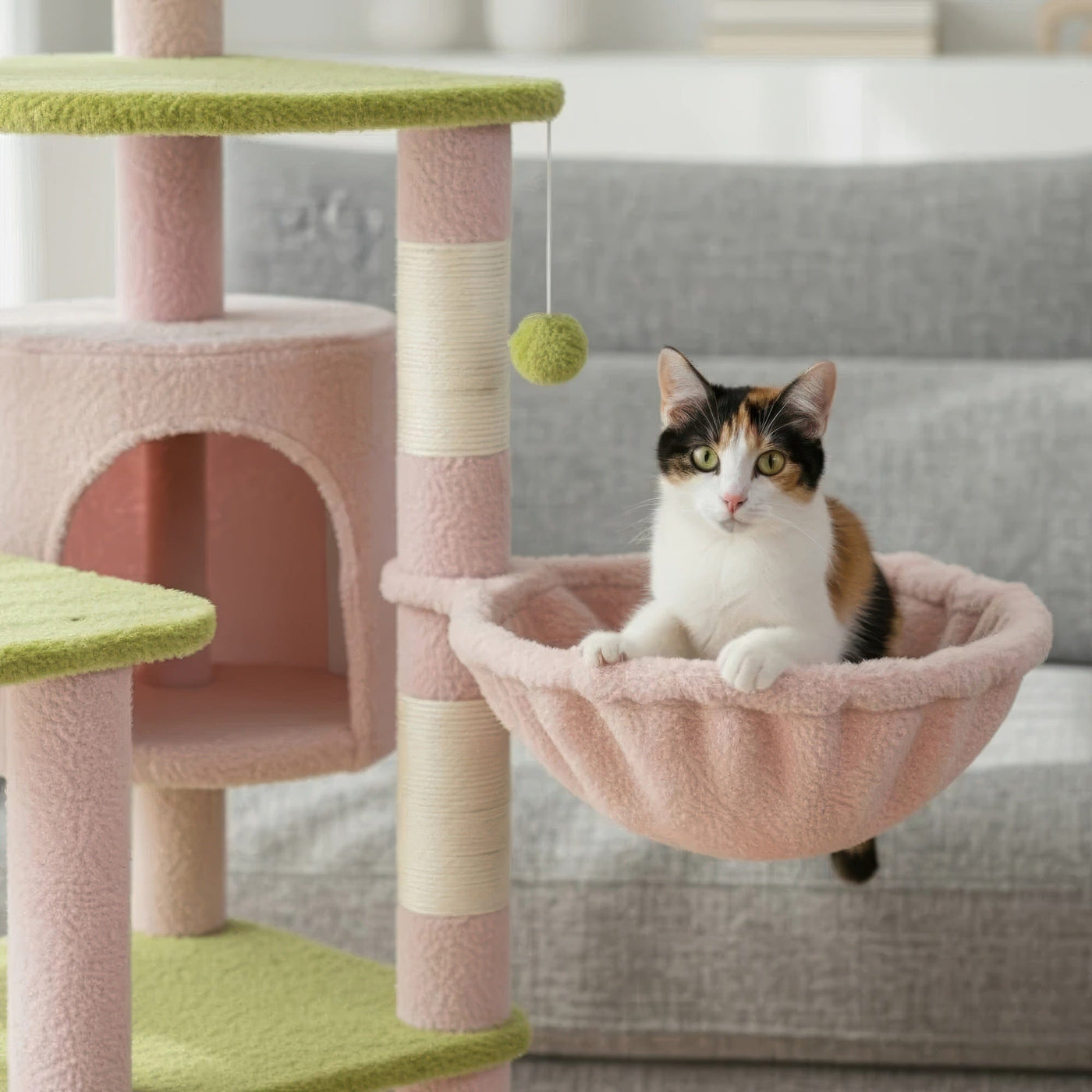 Arbre à chat - Bonbon