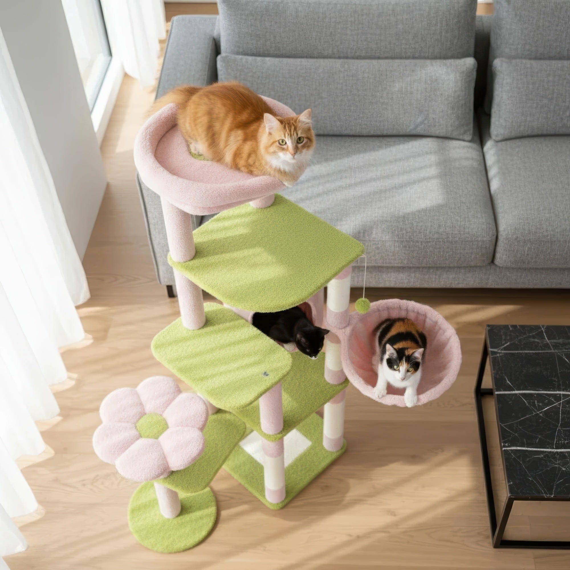 Arbre à chat - Bonbon