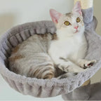 Arbre à chat - Boule