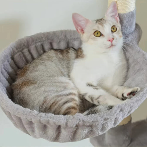 Arbre à chat - Boule