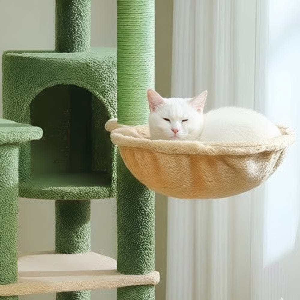 Arbre à chat - Buisson