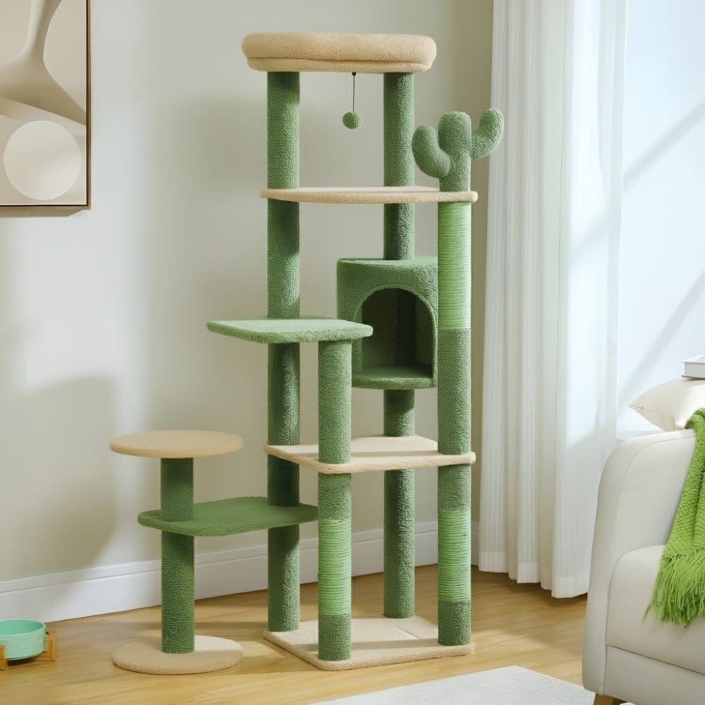 Arbre à chat - Buisson