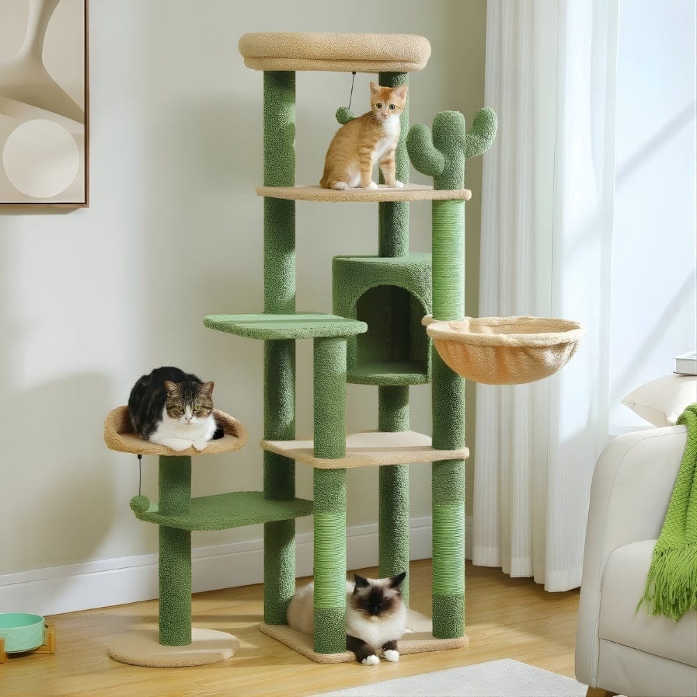 Arbre à chat - Buisson