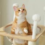 Arbre à chat - Capsule