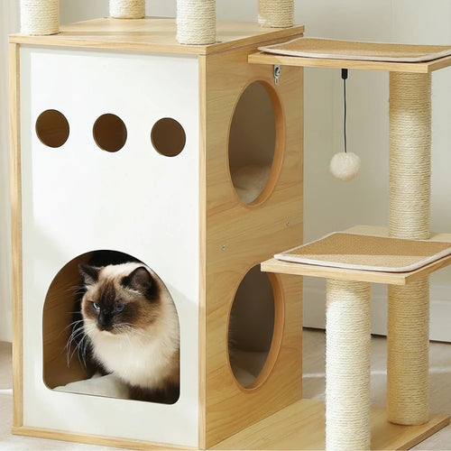 Arbre à chat - Capsule