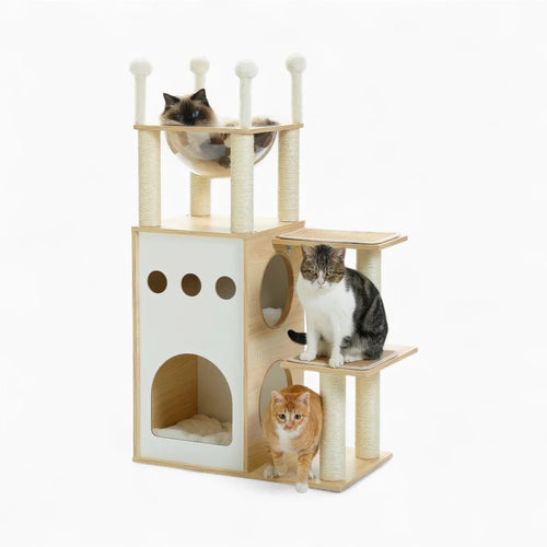 Arbre à chat - Capsule