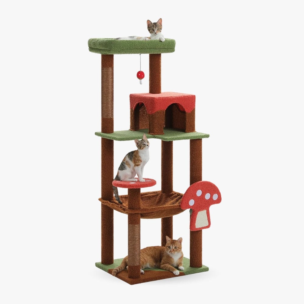 Arbre à chat - Champignon