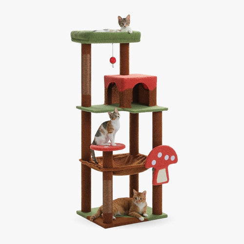 Arbre à chat - Champignon