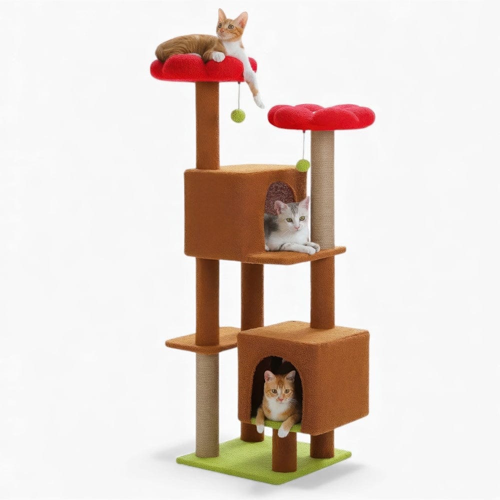 Arbre à chat - Chocolat