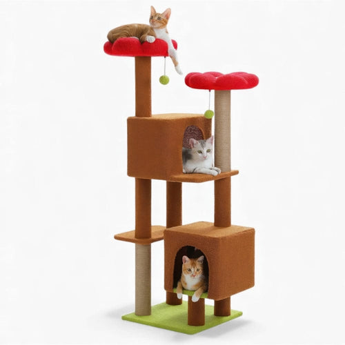 Arbre à chat - Chocolat