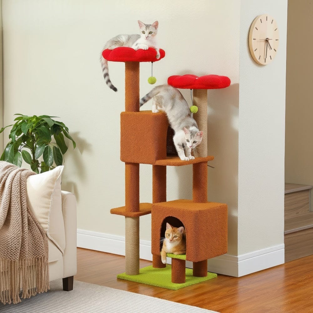 Arbre à chat - Chocolat