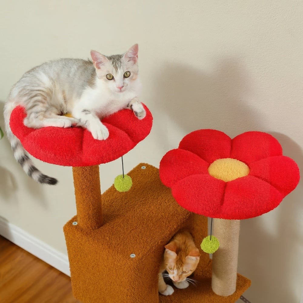 Arbre à chat - Chocolat