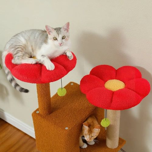 Arbre à chat - Chocolat