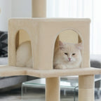 Arbre à chat - Clair