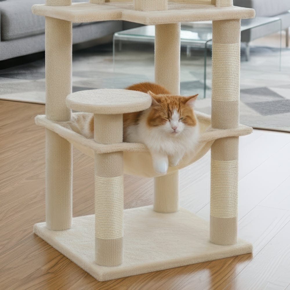 Arbre à chat - Clair