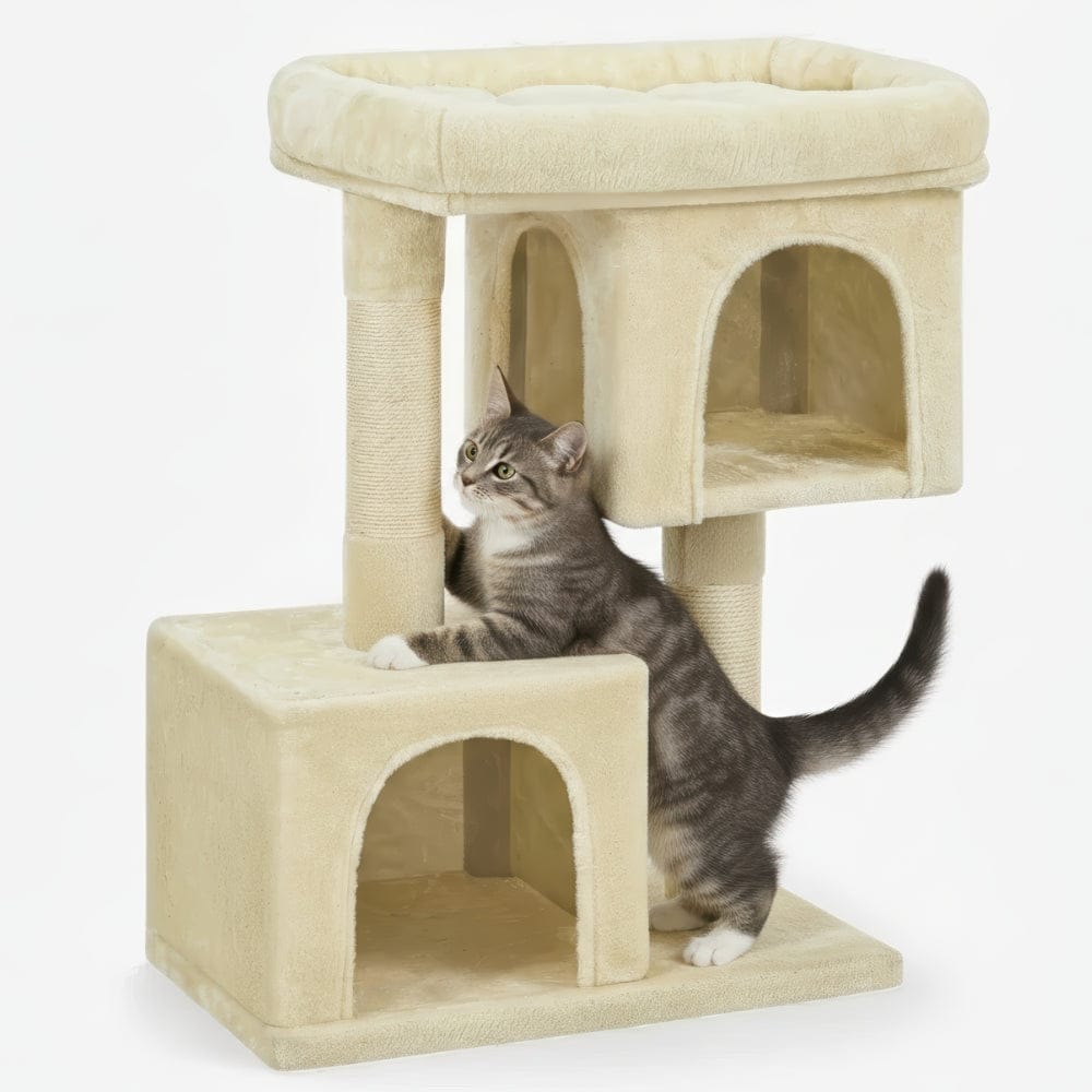 Arbre à chat - Cocons