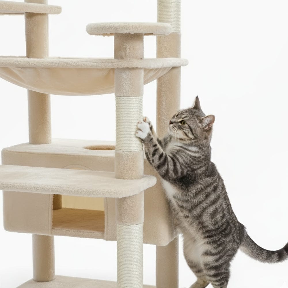 Arbre à chat - Colonne