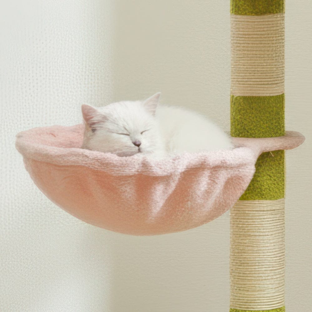 Arbre à chat - Coloré