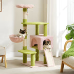 Arbre à chat - Coloré