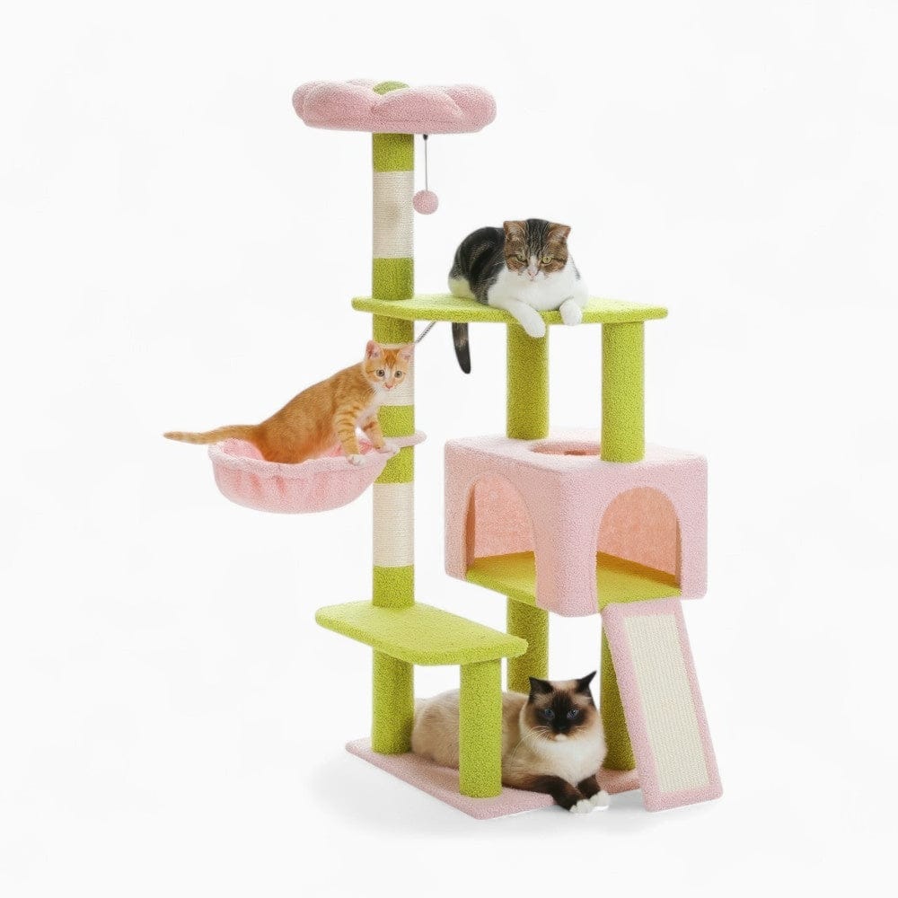 Arbre à chat - Coloré