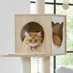 Arbre à chat - Compact