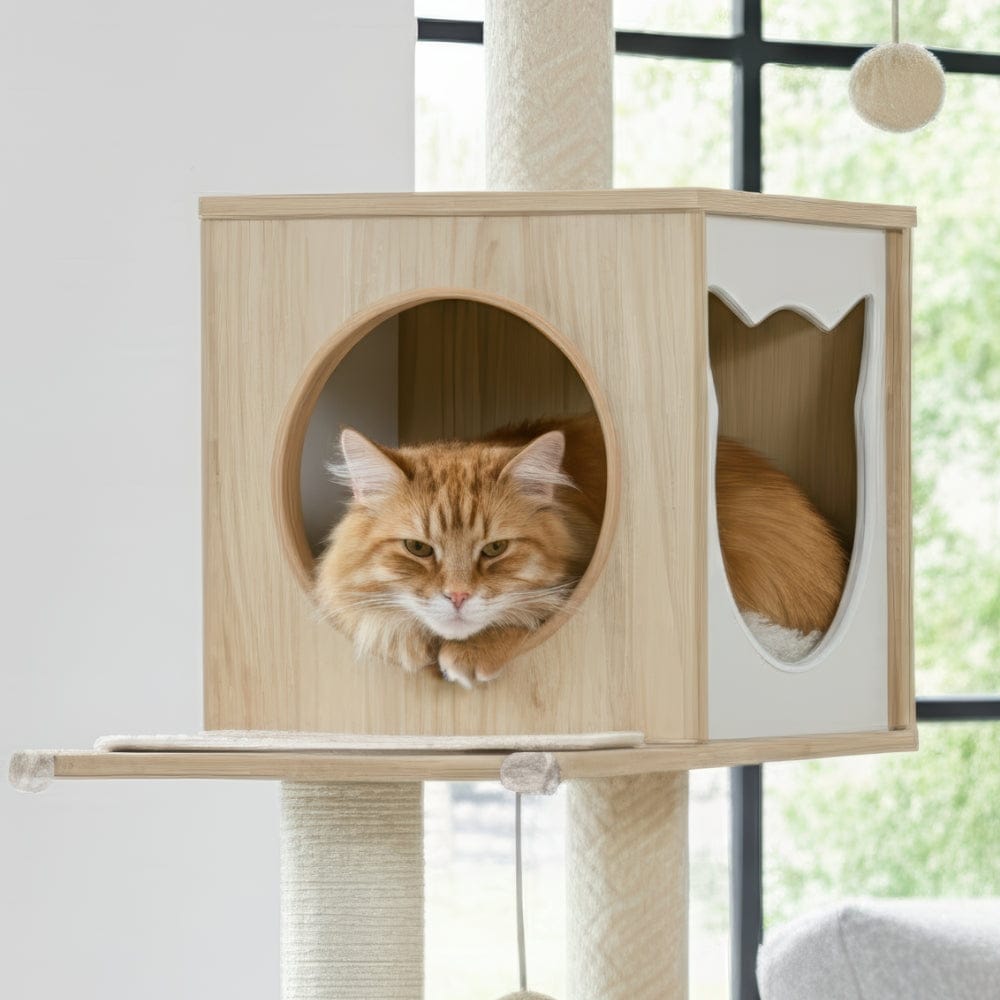 Arbre à chat - Compact