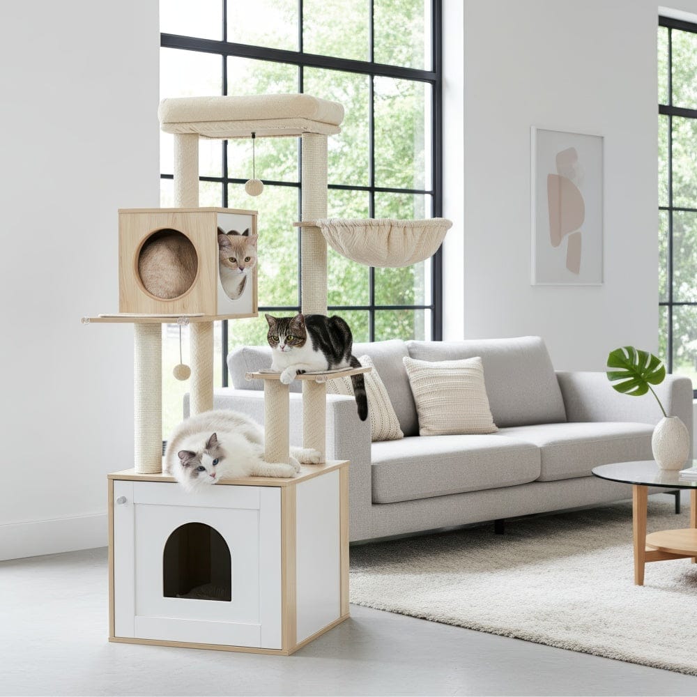 Arbre à chat - Compact