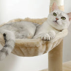 Arbre à chat - Confort