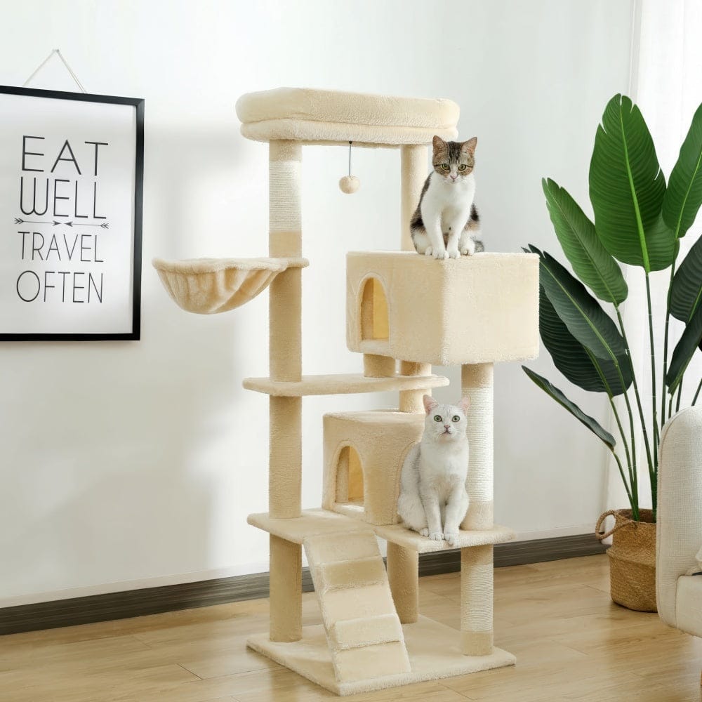 Arbre à chat - Confort