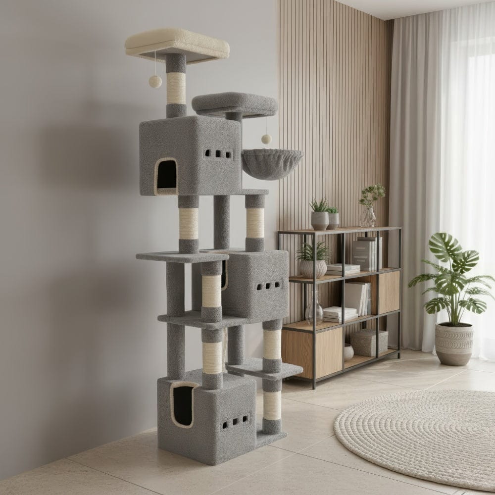 Arbre à chat - Contemporain