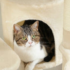 Arbre à chat - Crème