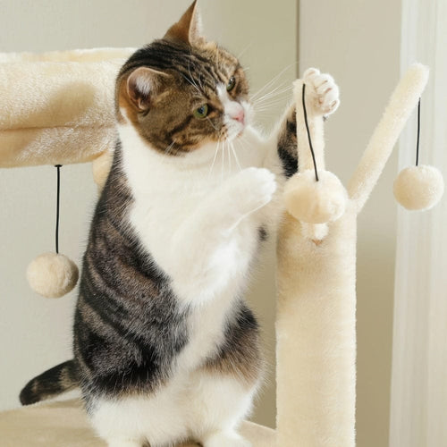 Arbre à chat - Crème