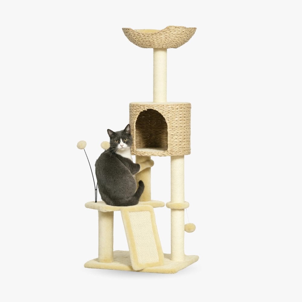 Arbre à chat design beige