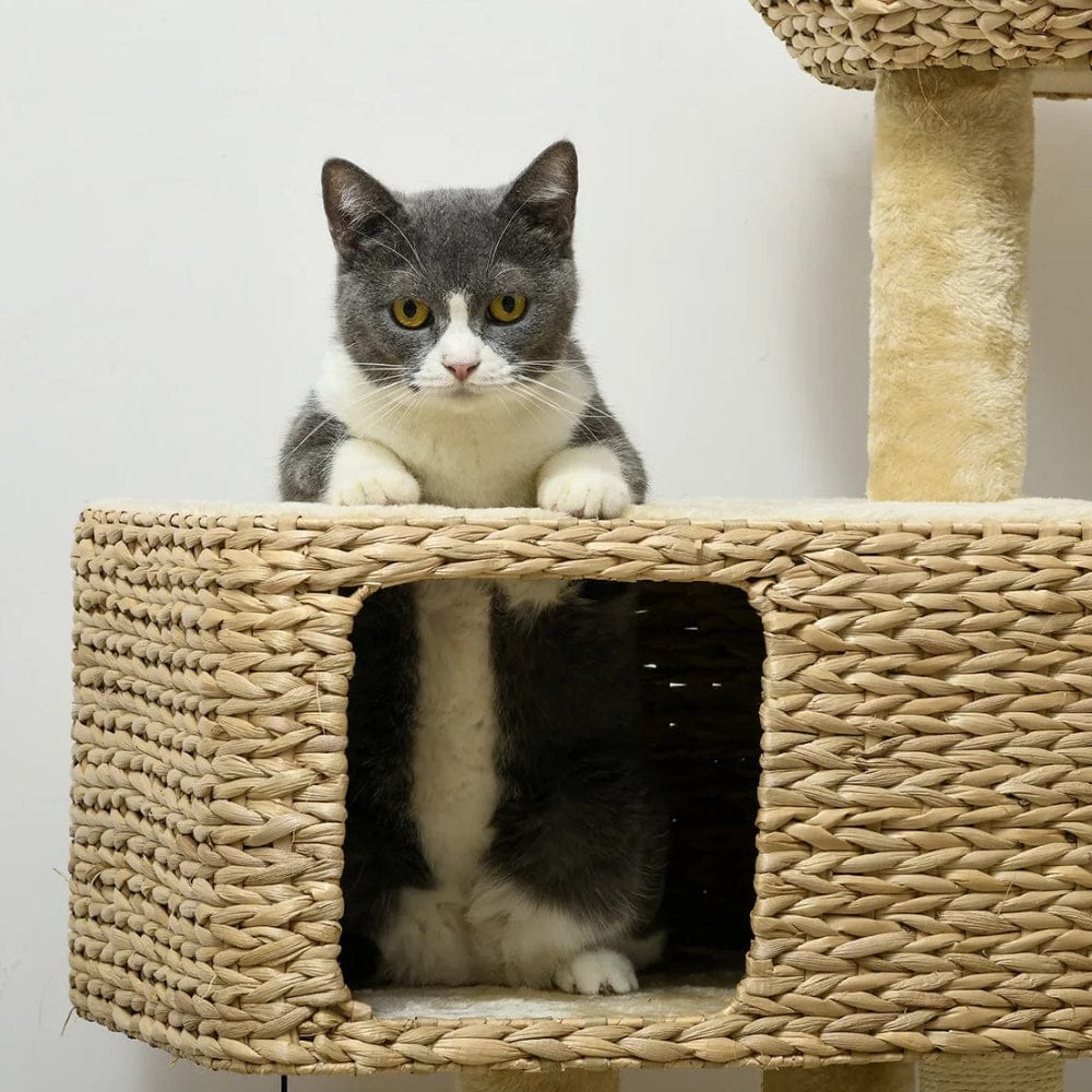 Arbre à chat design crème