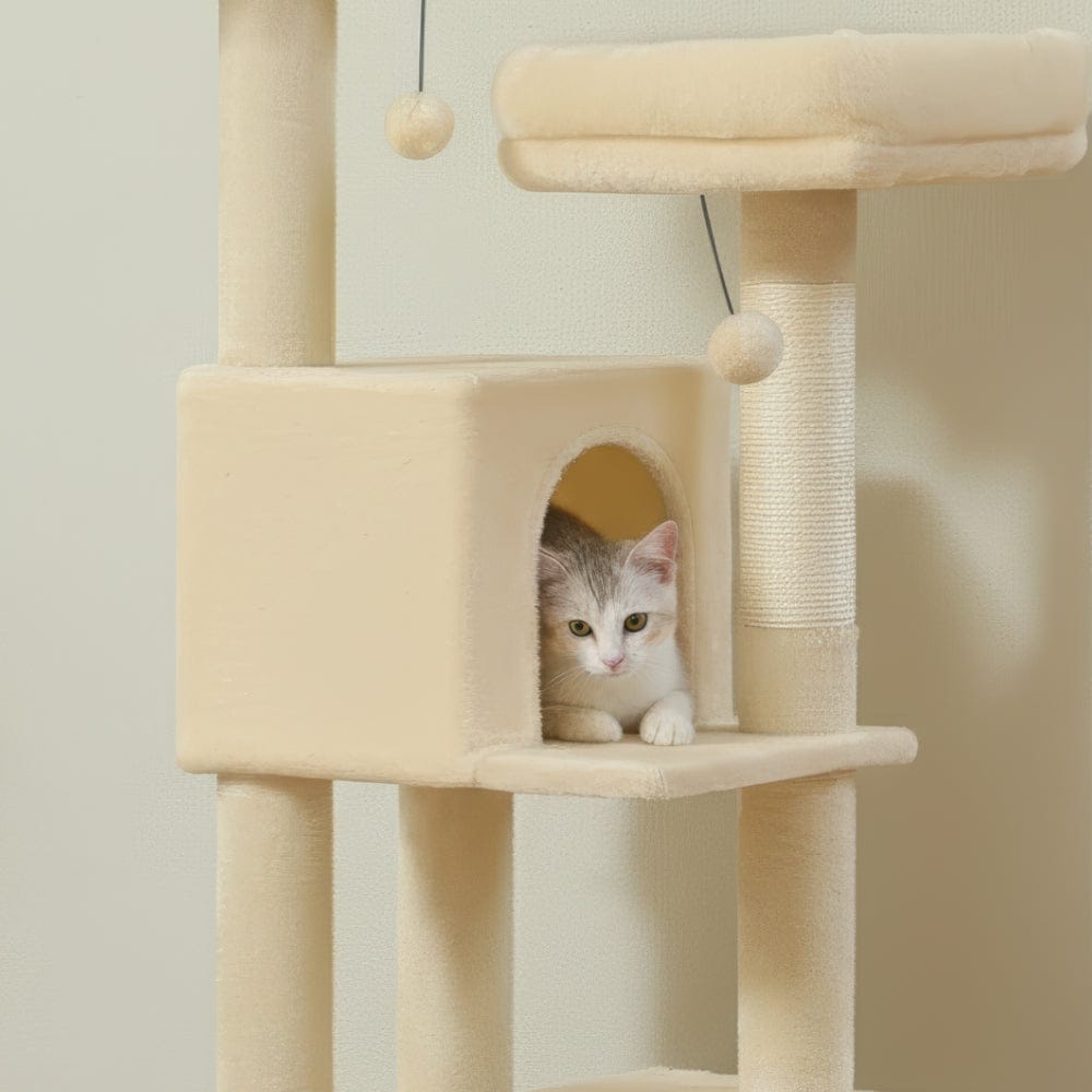 Arbre à chat - Doux