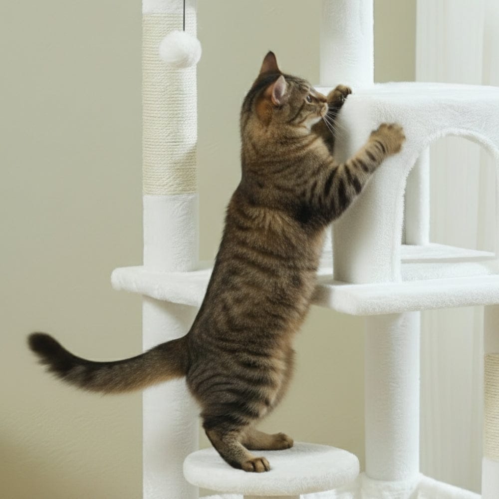 Arbre à chat - Élégant