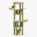 Arbre à chat - Émeraude